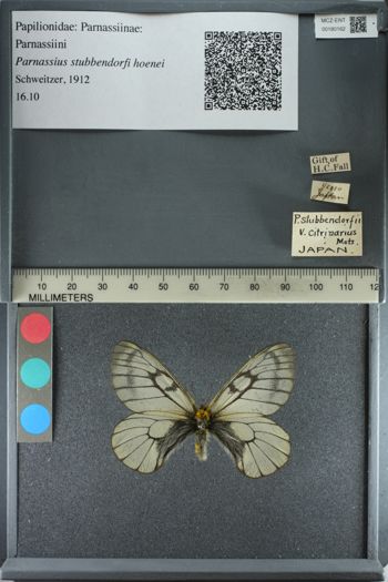 Media type: image;   Entomology 180162
